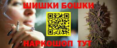 молекула духа Новозыбков