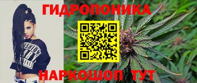 молекула духа Новозыбков