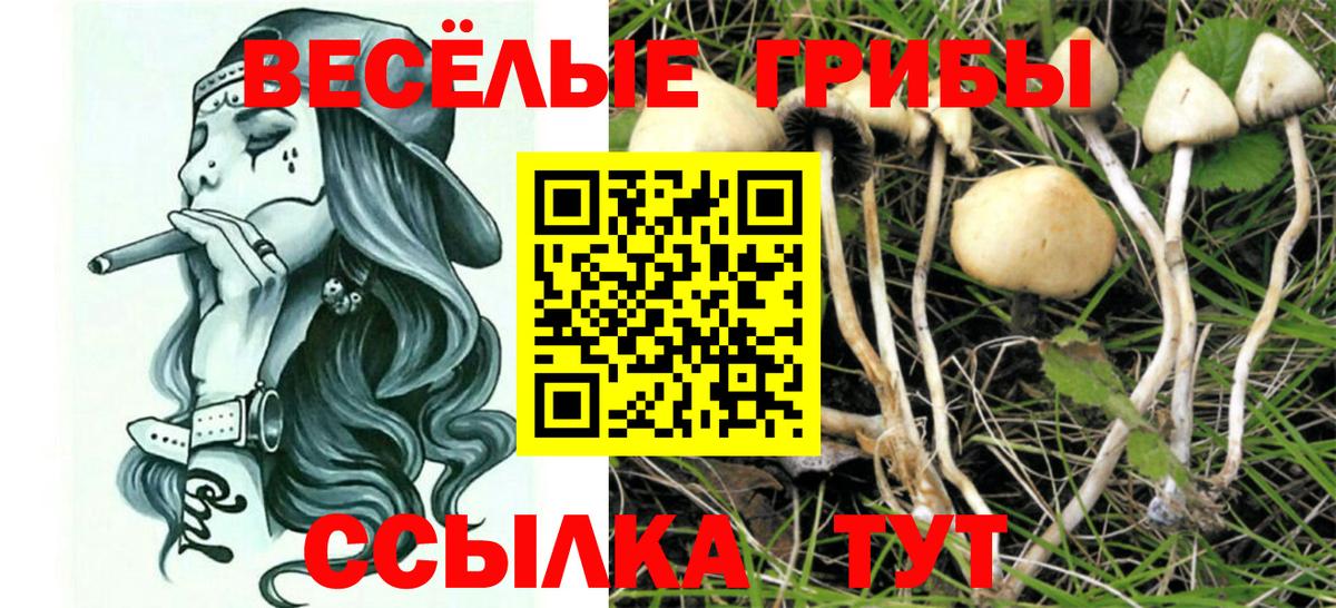 Галлюциногенные грибы мицелий  Галлюциногенные грибы MAGIC MUSHROOMS  Рузаевка  Вход с VPN 
