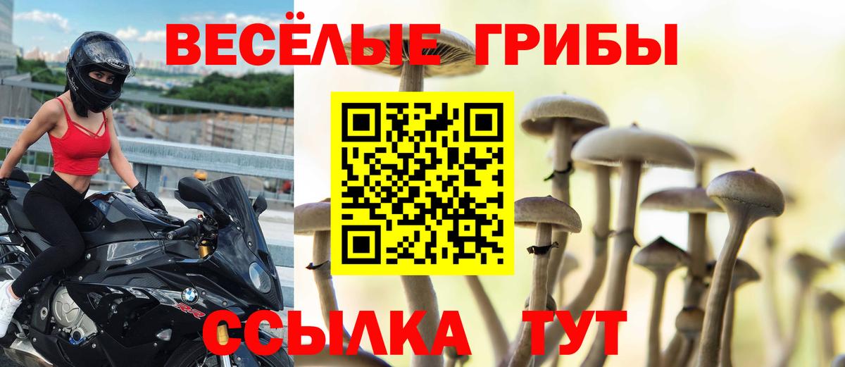 Галлюциногенные грибы ЛСД Рузаевка